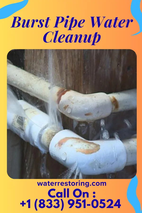 Burst Pipe Water Cleanup in Concord, AL